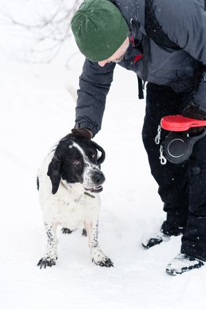 Snowy Pet Affectio