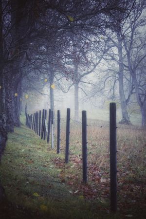 Dark wooden fence on green grass field with fog