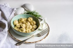 Delicious bowl of traditional Russian dumplings 4d83pA