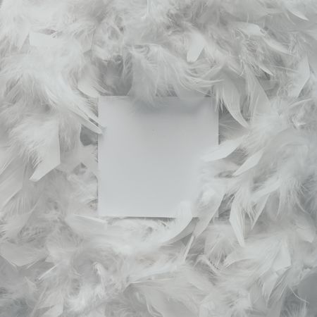 Bright feather texture, with paper card
