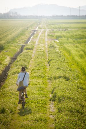 Back view of a person riding bicycle on green grass field