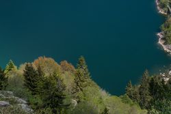 Overhead shot of trees lining a lake