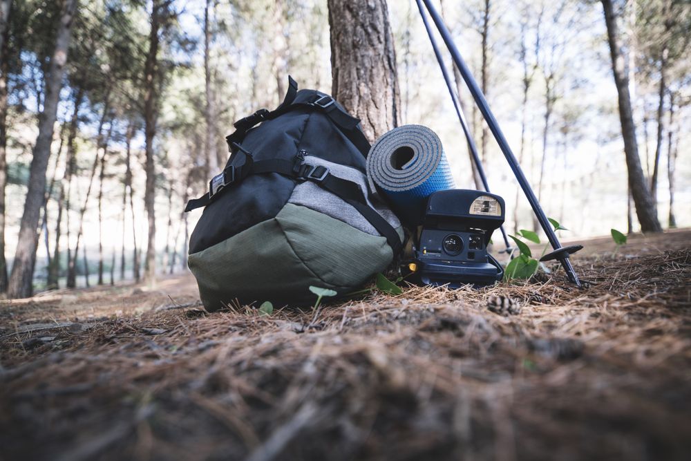 Backpack and retro camera near tree