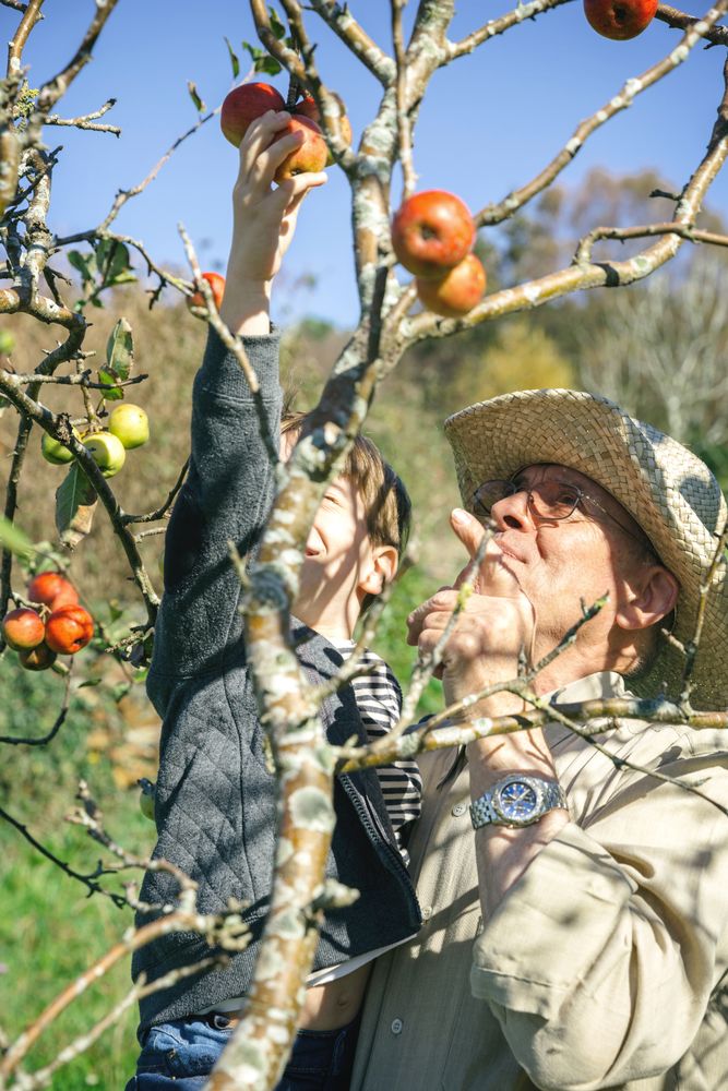 Older man holding little boy picking apples