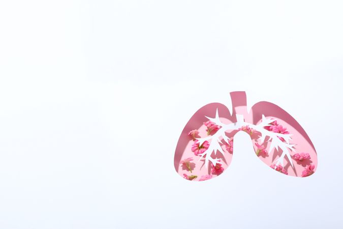 Lung shape cut out of paper with bronchus with flowers underneath with copy space
