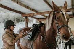 Woman putting saddle on horse