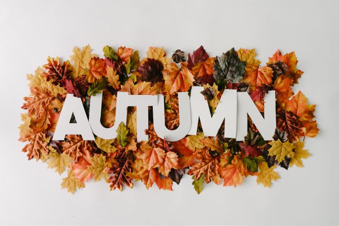 “AUTUMN” in light paper surrounded with fall leaves