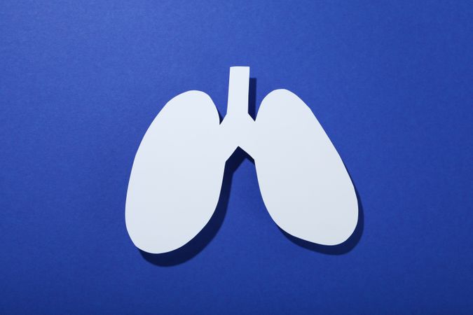 Paper cut out of lungs on blue background