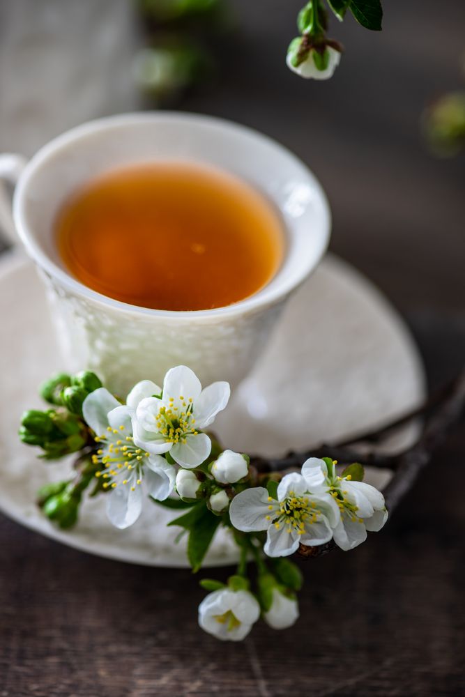 Close up of cup and saucer with floral decor