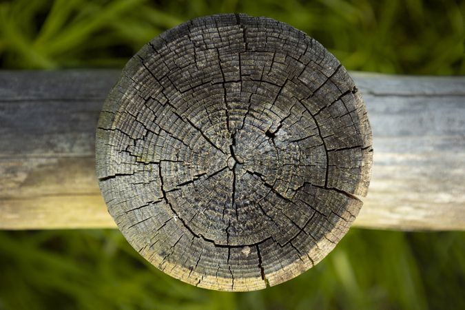 Wooden circle aged by time with cracks. Fence trunk