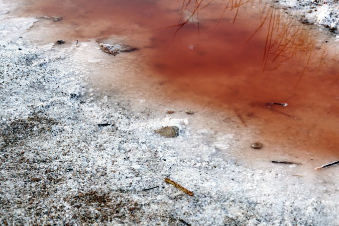 Crystals of salt on pink lake shore