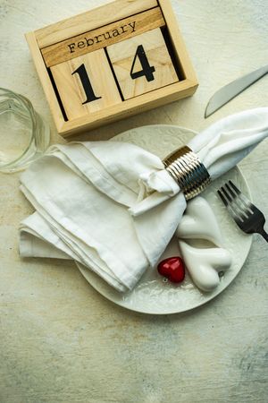 Top view of table setting for Feb 14th