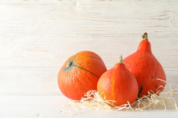 Pumpkins on wooden background, space for text