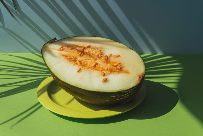 Half Melon toad skin, Colorful summer theme. in blue and green background, shadows of palm leaves
