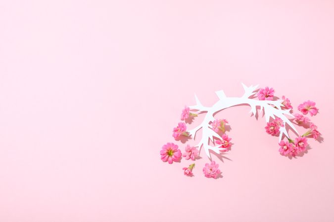Paper lung bronchus with flowers on pink background with copy space