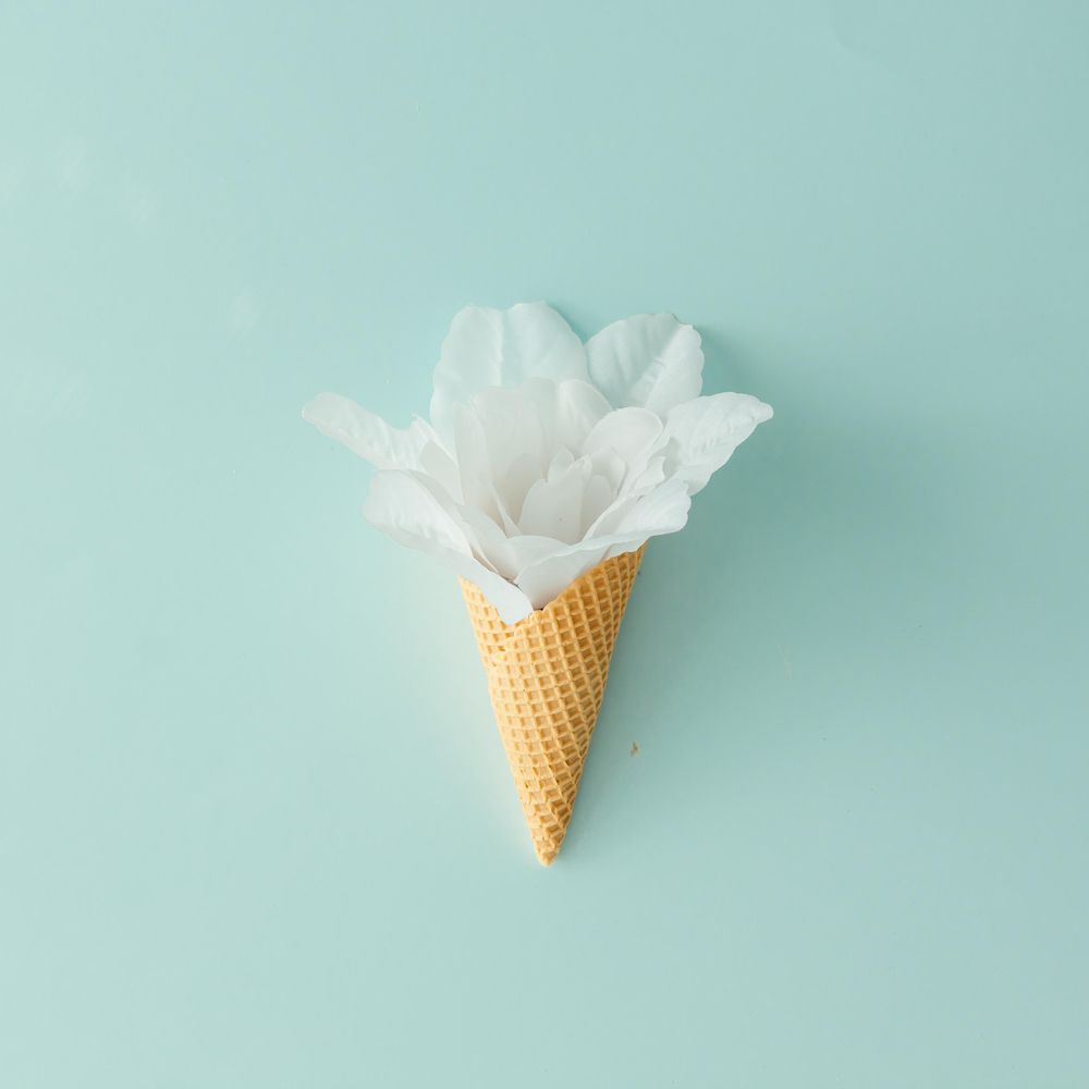 Flower in waffle cone on blue background
