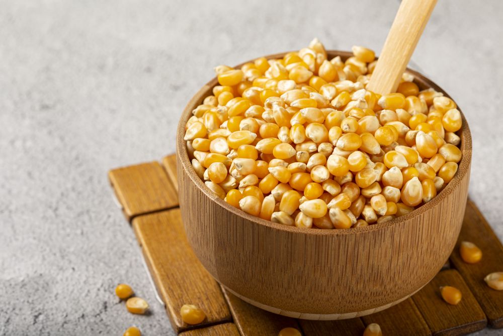 Dried corn. Raw corn for popcorn on the table.