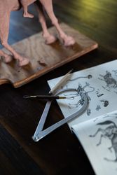 Sculpting tools up close on work table
