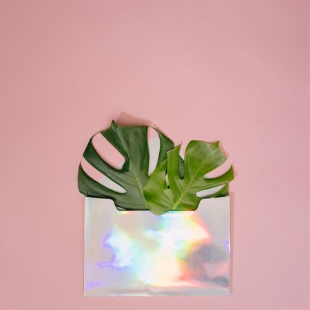 Monstera leaf on pastel coral background with iridescent envelope