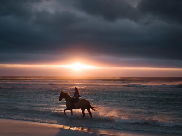 Silhouette of a female riding horse along the beach