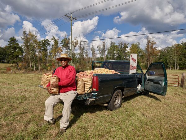 Man selling sweet potatoes from truck, Mt. Olive, Mississippi