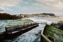 Benches and hoarfrost path