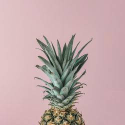 Ripe pineapple close up on pink pastel background