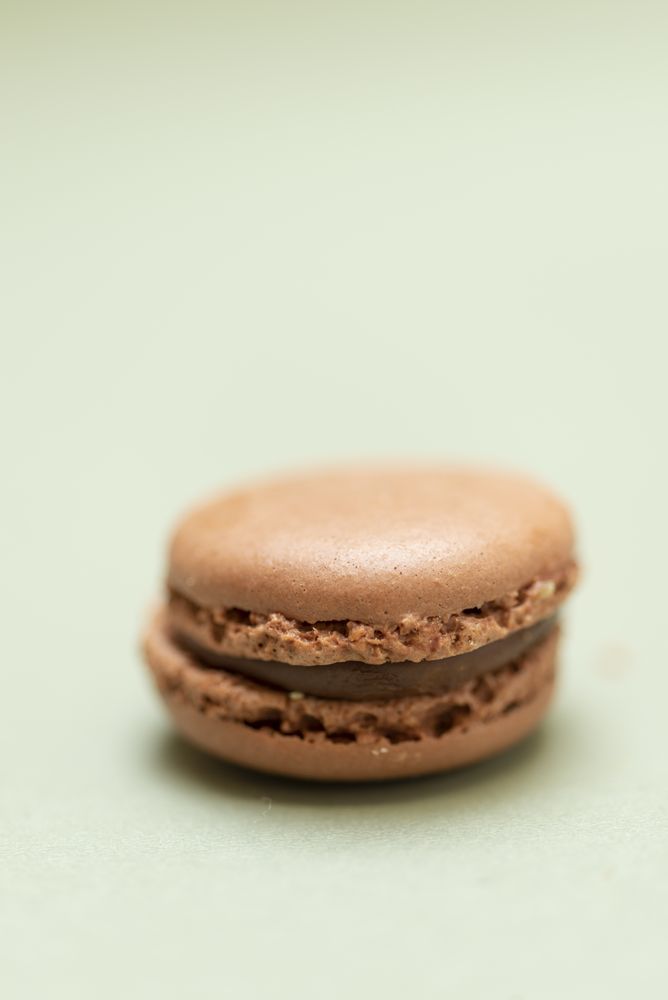 Single chocolate macaroon