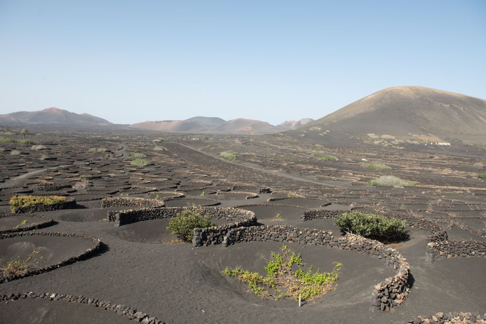 Wonderful stony terrain on sunny day