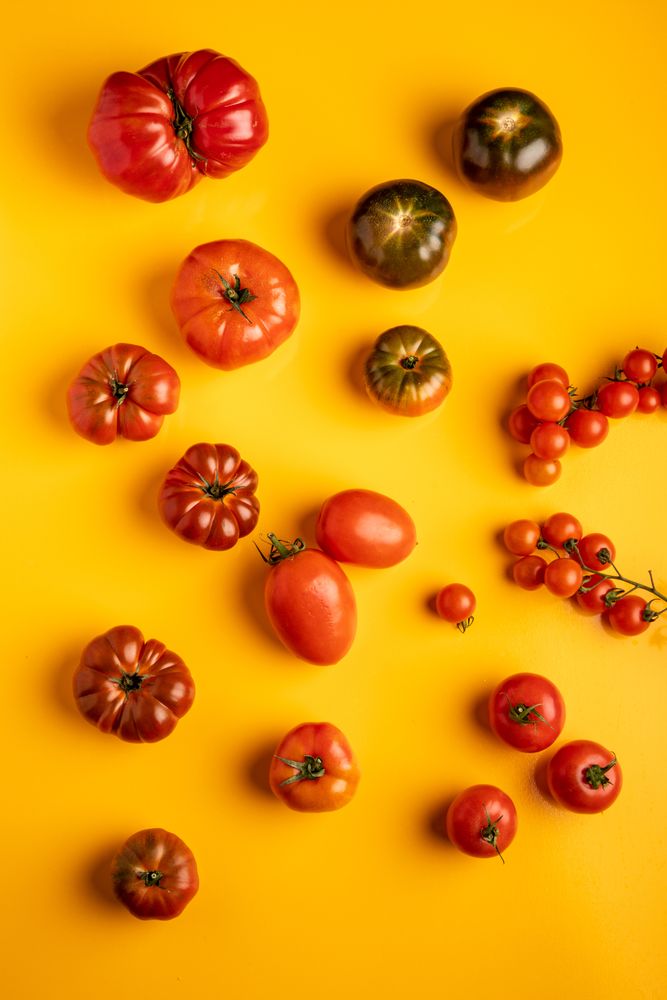 Set of assorted tomatoes