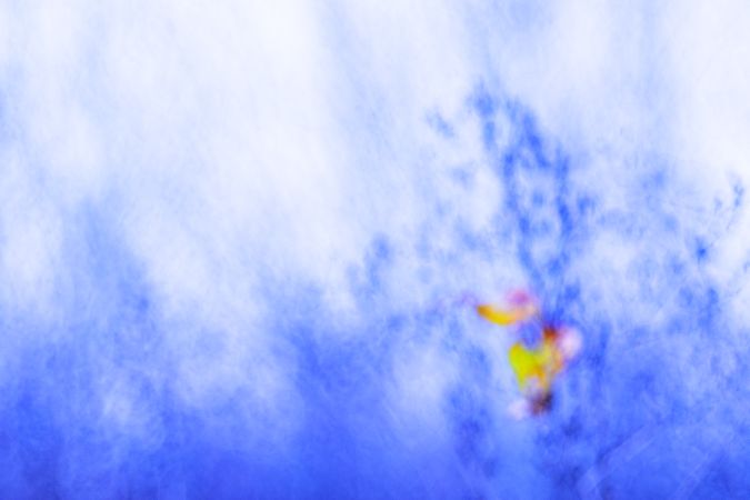Tender dry leaves in blue light effect