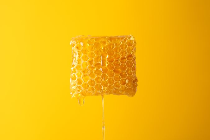 Honeycomb against yellow background, copy space