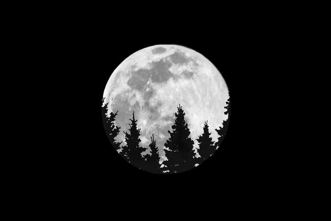 Moon on clear dark sky with outline of trees