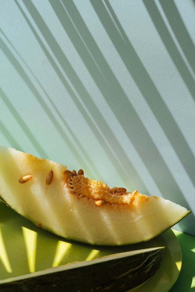 Melon toad skin cut into slices Colorful summer theme