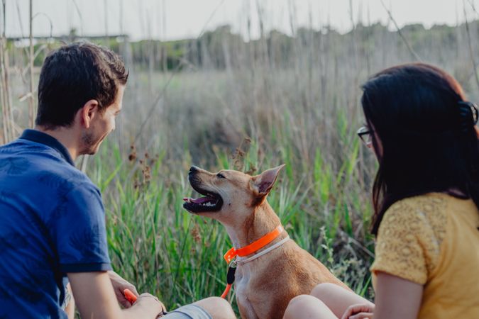 Cheerful adult couple playing with dog at countryside