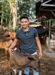 Hispanic Young Man Huging a Calf in in Dairy Farm