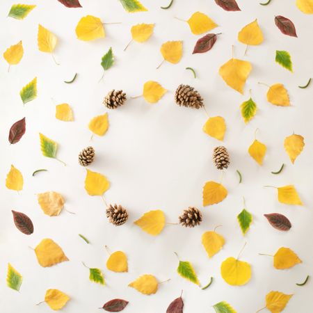 Circle of yellow and pinecone surrounded by multicolored leaves