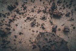 Dry desert cracked area with stony elements