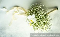 Gypsophila paniculata flowers for bridal bouquet 4OdnoZ