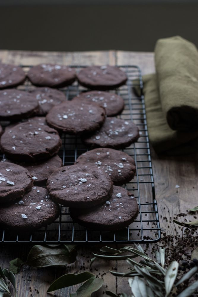 Dry olive branches near chocolate cookies