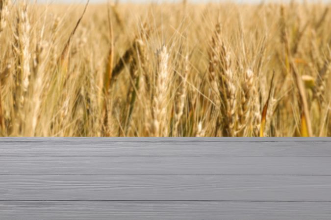 Wooden table with towel against field. Agriculture concept