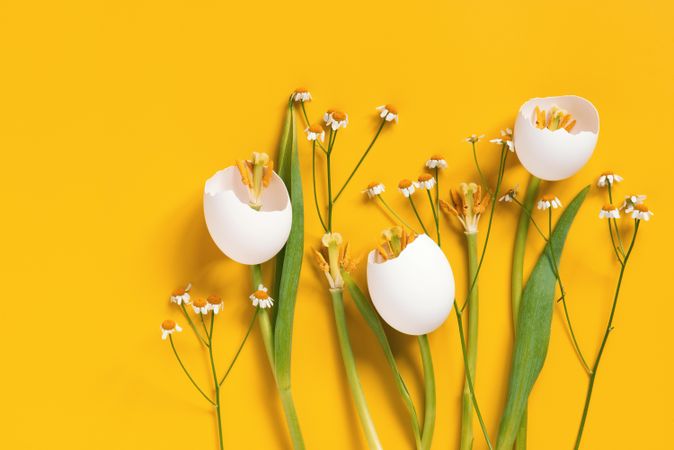 Spring flowers made of egg shells on yellow background with copy space