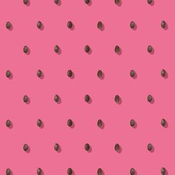 Watermelon seeds pink pattern