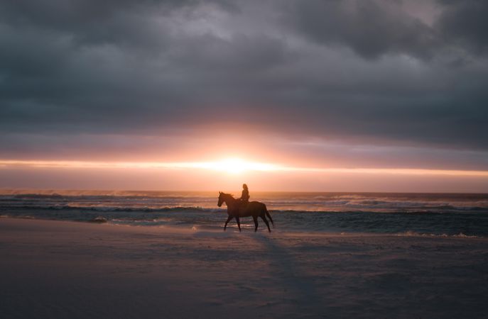 Silhouette of a rider on a horse at sunset with clouds on the beach