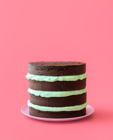 Chocolate mint cake isolated on a pink background