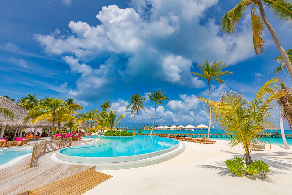 Pool surrounded with lounge chairs and palm trees