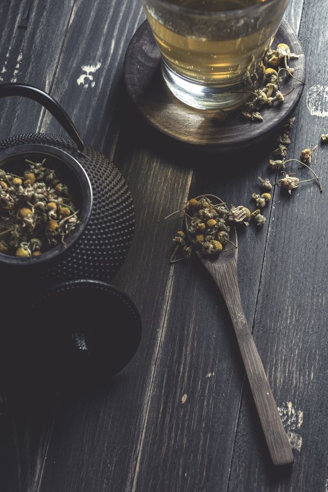 Dried chamomile for herbal tea