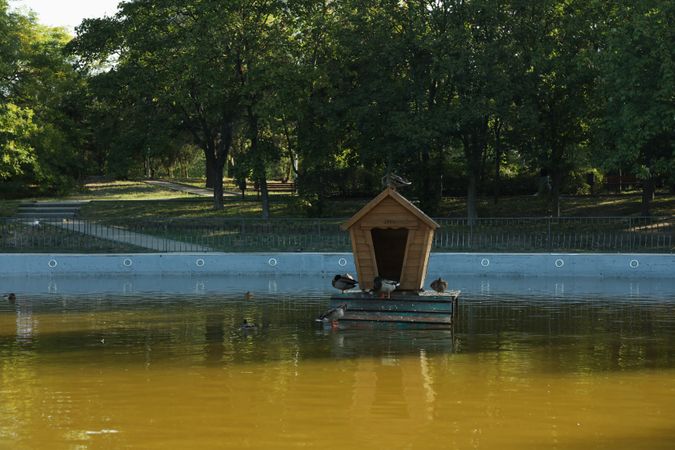Beautiful city park with lake in sunny morning