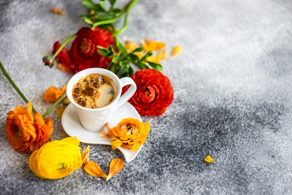 Summer floral card with espresso surrounded by fresh flowers with copy space
