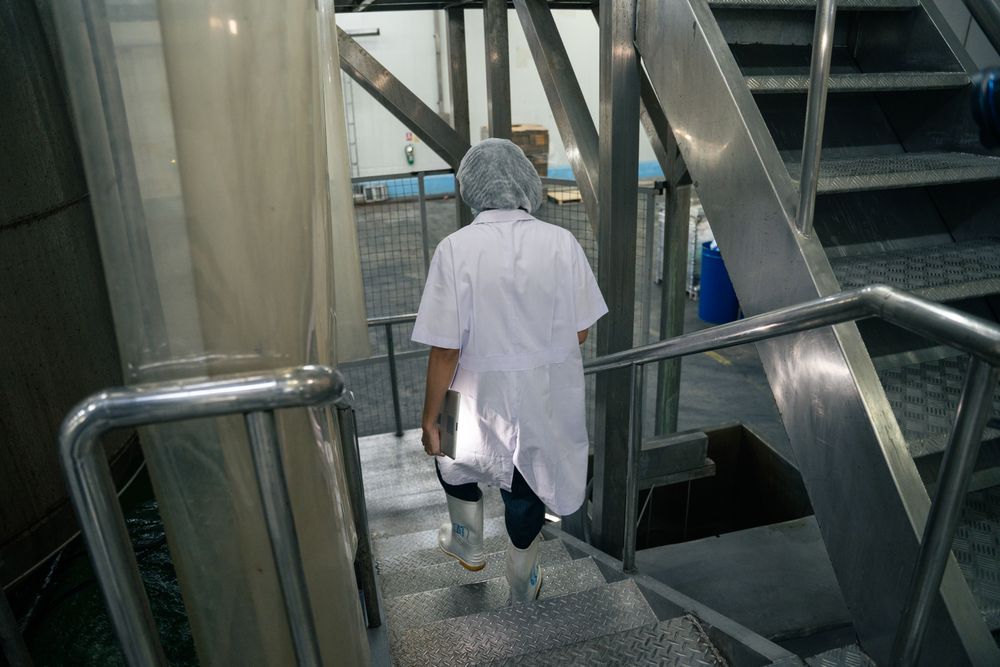 A Laboratory researcher in protective uniform walking on a stair in the factory